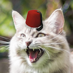 The Cat With A Hat
